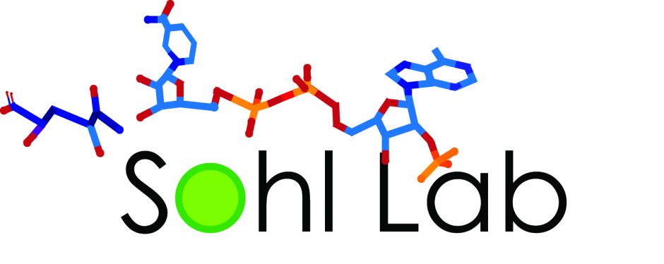 The Sohl Lab